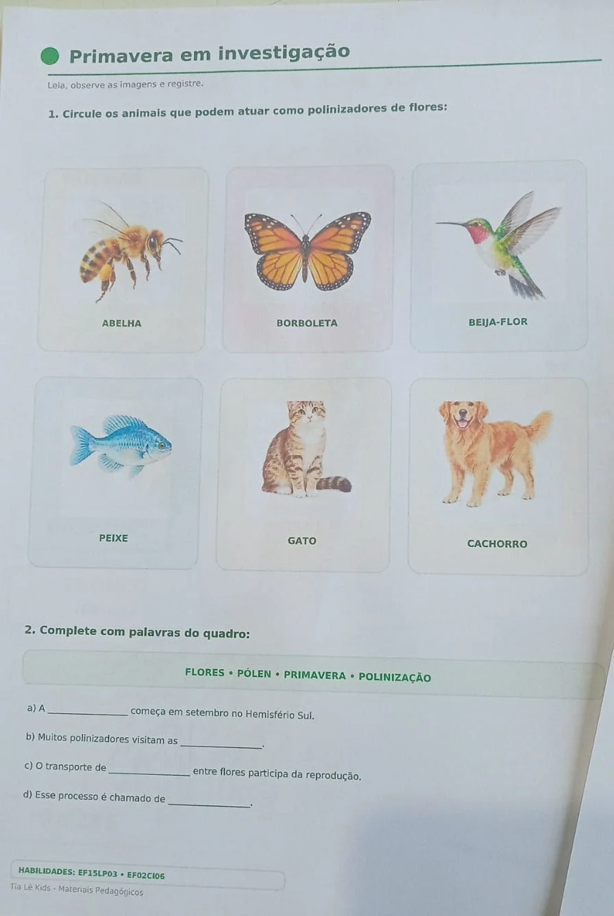 Kit Dia da Árvore e Primavera – Painel e Atividades BNCC — amostra 3: Kit completo para o Dia da Árvore e a Primavera, com… Kit Dia da Árvore e Primavera – Painel e Atividades BNCC — amostra 3: Kit completo para o Dia da Árvore e a Primavera, com…