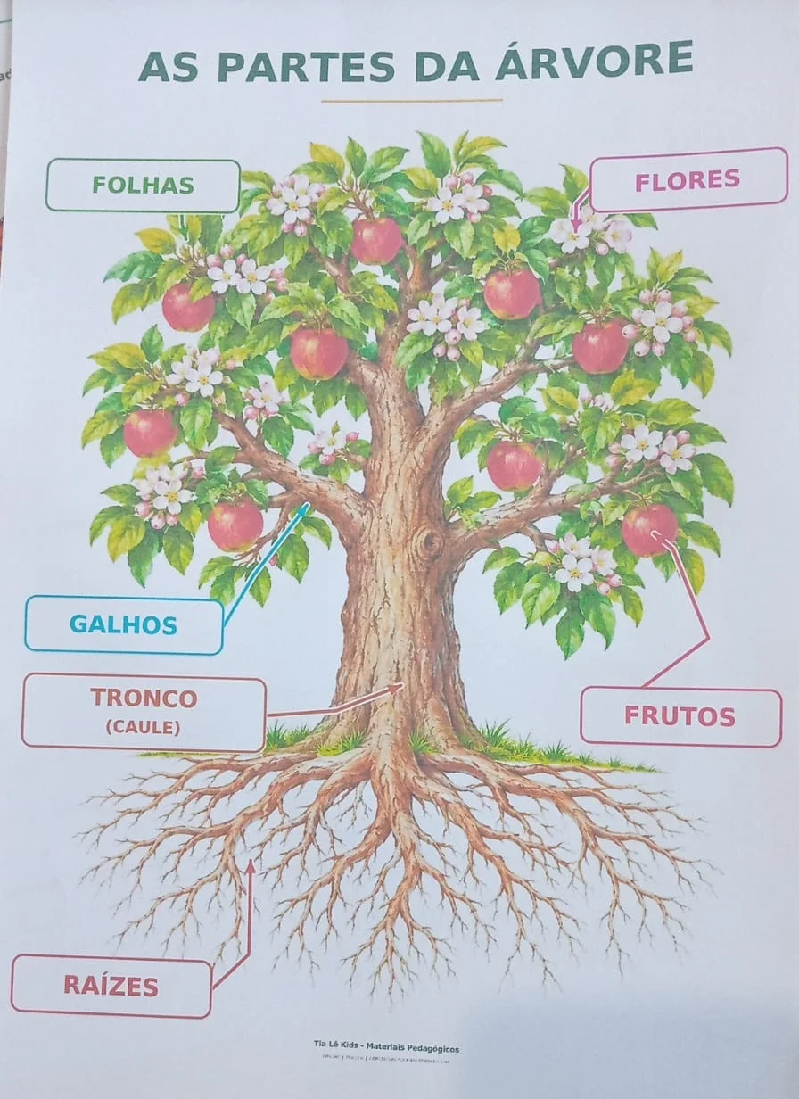 Kit Dia da Árvore e Primavera – Painel e Atividades BNCC — amostra 5: Kit completo para o Dia da Árvore e a Primavera, com… Kit Dia da Árvore e Primavera – Painel e Atividades BNCC — amostra 5: Kit completo para o Dia da Árvore e a Primavera, com…