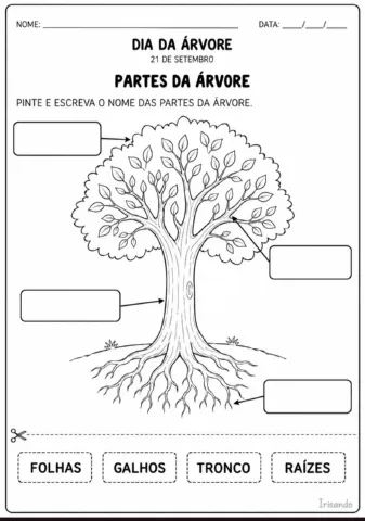 🌳 KIT DIA DA ÁRVORE — EDUCAÇÃO INFANTIL — amostra 2: Um material completo e pronto para imprimir para trabalhar o Dia da… 🌳 KIT DIA DA ÁRVORE — EDUCAÇÃO INFANTIL — amostra 2: Um material completo e pronto para imprimir para trabalhar o Dia da…