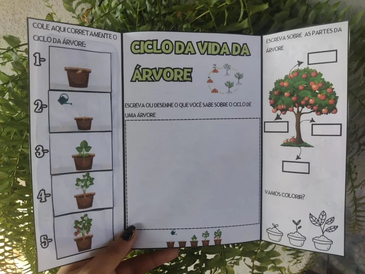 LAPBOOK DIA DA ÁRVORE – PDF para Imprimir — Alfabetização para Educação Infantil: Uma proposta lúdica e interativa para…