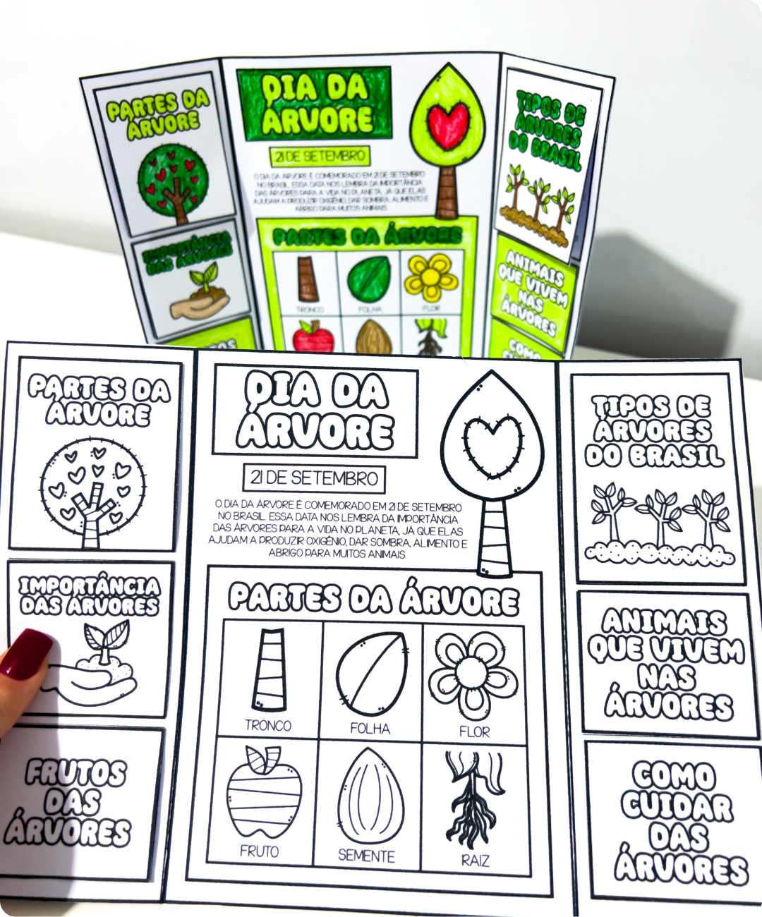 Lapbook do Dia da Árvore para imprimir — amostra 3: O que acompanha o arquivo