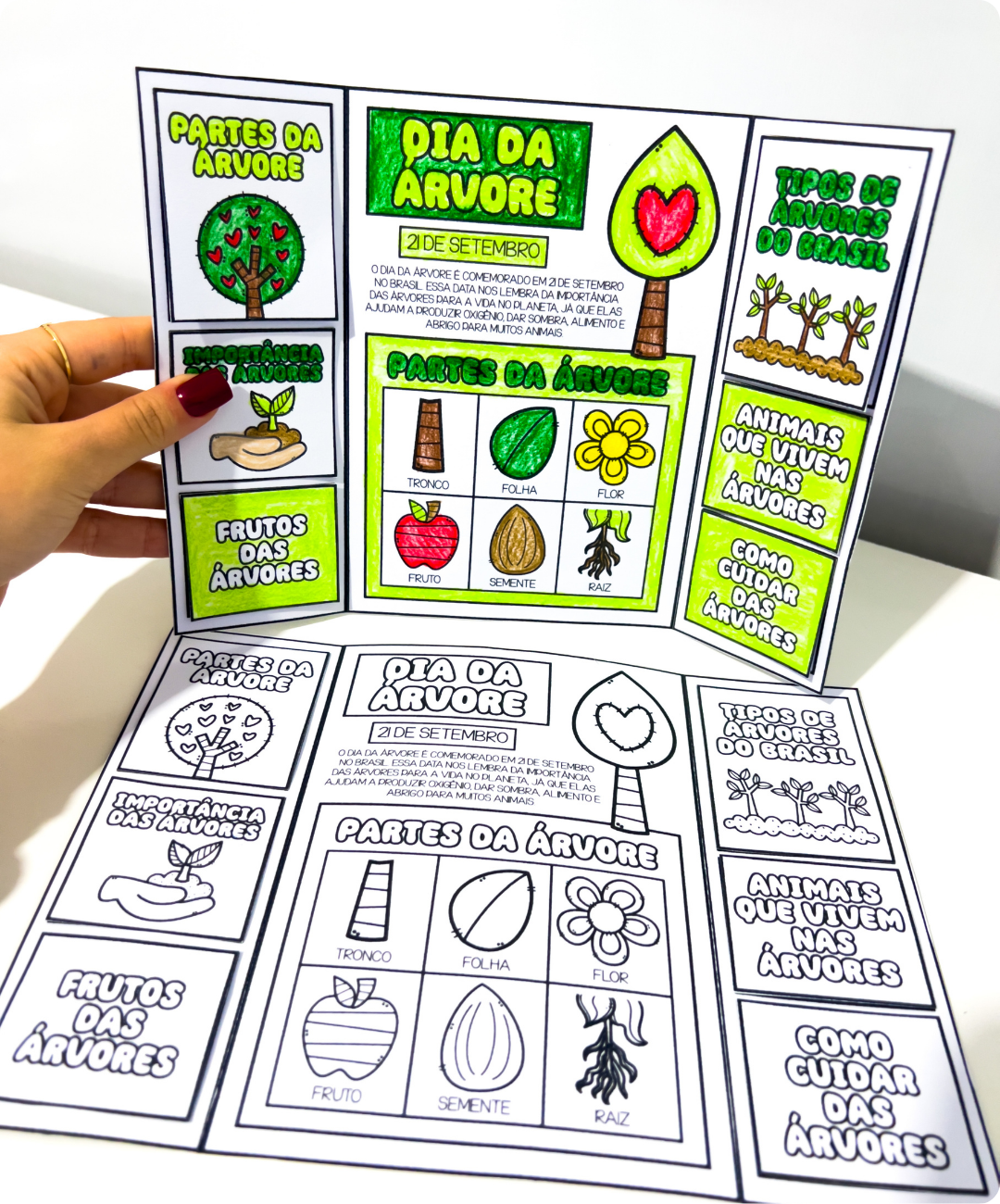 Lapbook do Dia da Árvore para imprimir — amostra 5: Leve o Dia da Árvore para a sala com um lapbook em PDF para imprimir e…