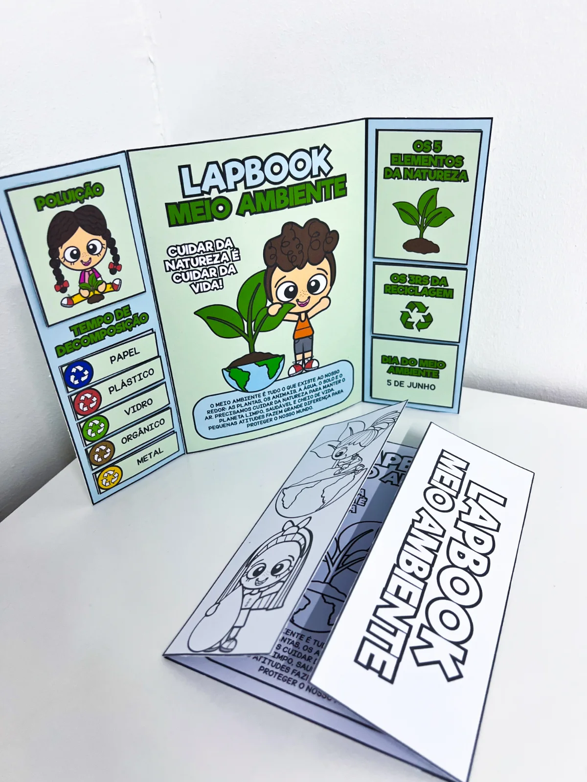 Lapbook Meio Ambiente | Educação Infantil — amostra 3: Para quem é indicado