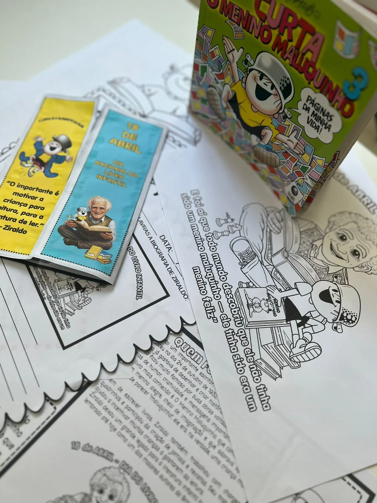 Lapbook Ziraldo – Vida e Obra de O Menino Maluquinho — amostra 2: Lapbook completo e interativo para trabalhar a vida e a…