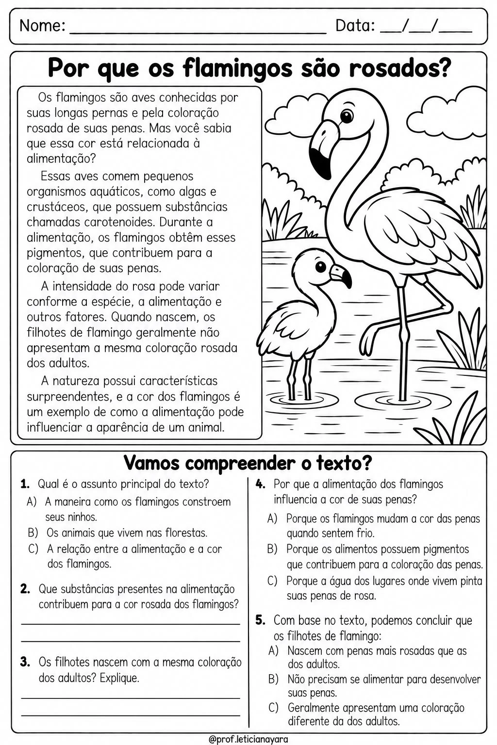Leitura e Interpretação de Texto | 10 Textos para o 2º Ano — amostra 4: Formato e impressão