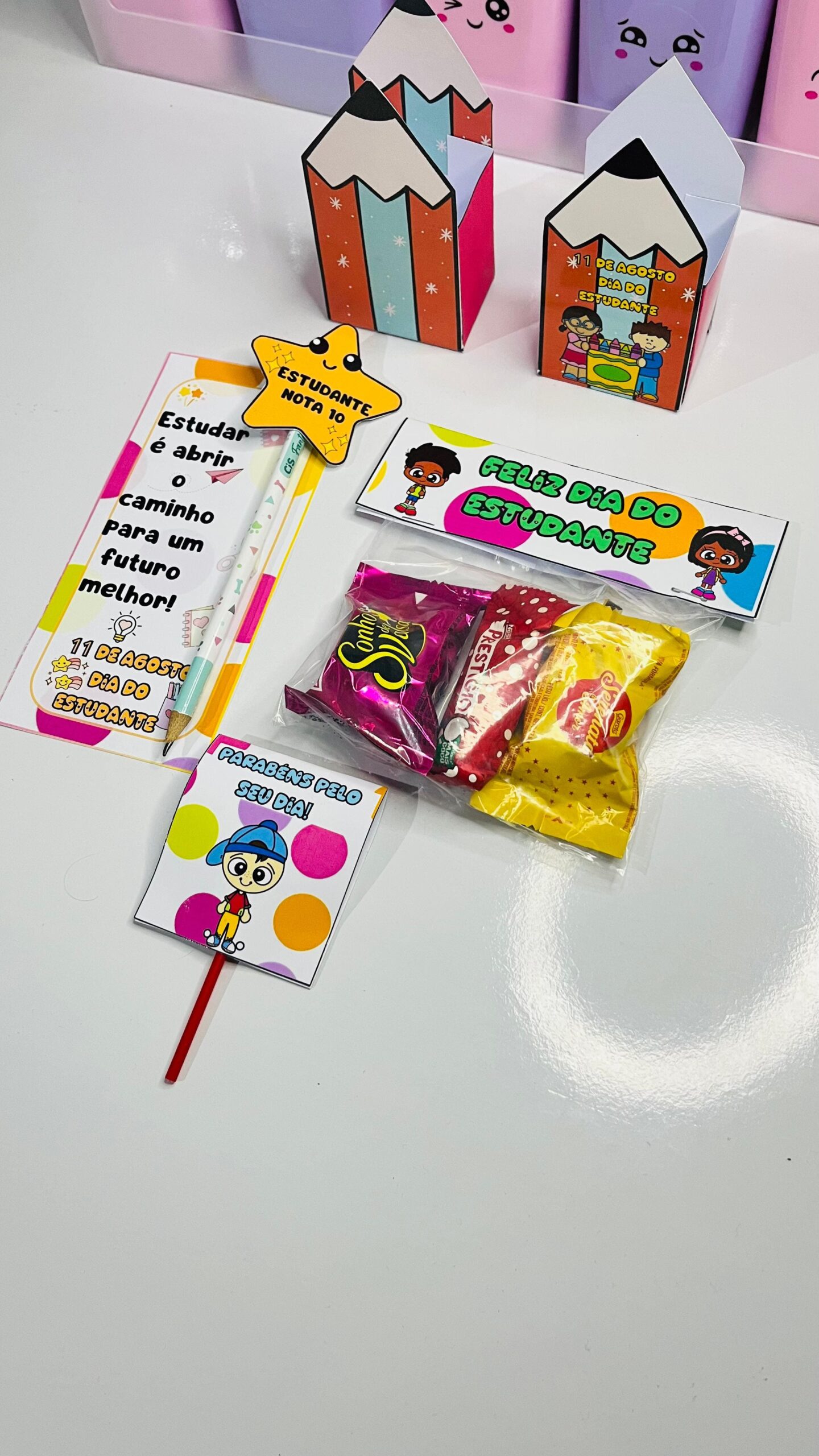 Lembrancinha dia do estudante – Material Pedagógico — capa do material
