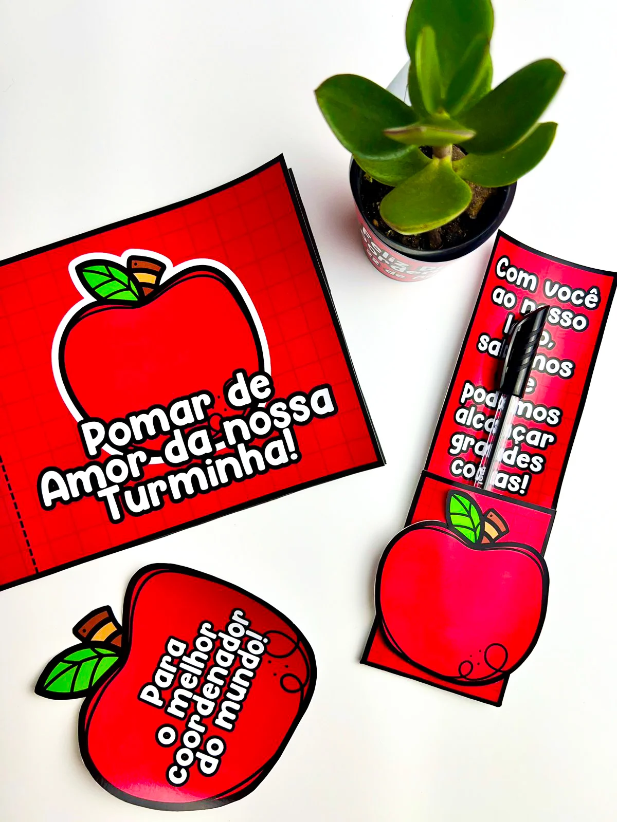 Lembrancinhas Dia do Coordenador – Material Pedagógico — amostra 3: Este material consiste em um kit com quatro modelos de…