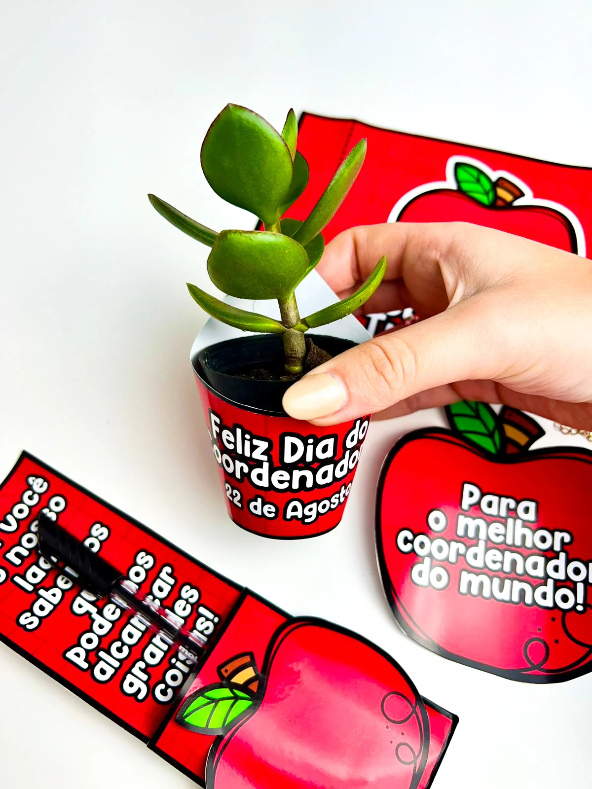 Lembrancinhas Dia do Coordenador – Material Pedagógico — amostra 4: Este material consiste em um kit com quatro modelos de…