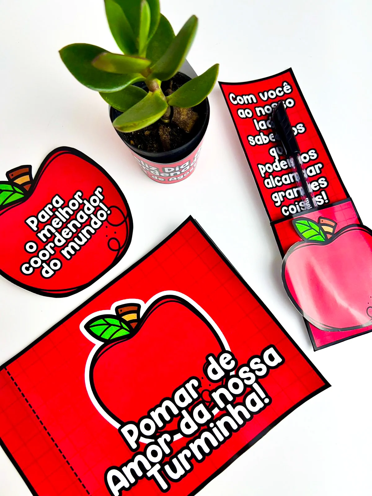 Lembrancinhas Dia do Coordenador – Material Pedagógico — amostra 5: Este material consiste em um kit com quatro modelos de…