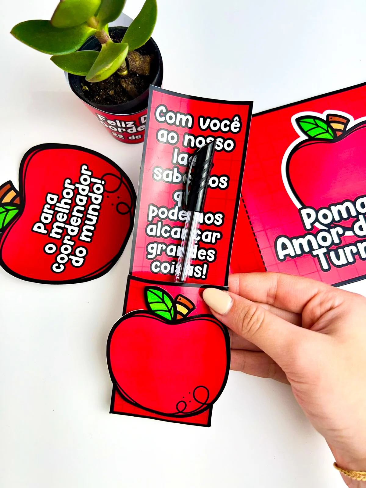 Lembrancinhas Dia do Coordenador – Material Pedagógico — Alfabetização para Educação Infantil: Este material consiste em um…