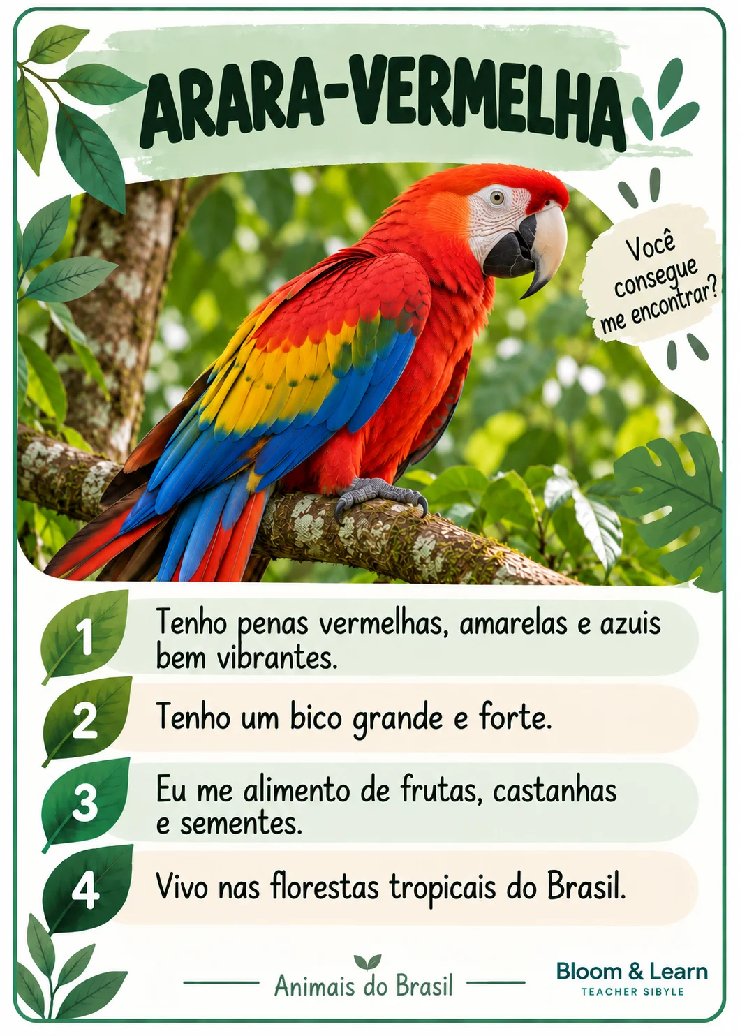 LINCE ANIMAIS BRASILEIROS - DETETIVES DA NATUREZA — amostra 1: LINCE ANIMAIS BRASILEIROS – DETETIVES DA NATUREZA LINCE ANIMAIS BRASILEIROS - DETETIVES DA NATUREZA — amostra 1: LINCE ANIMAIS BRASILEIROS – DETETIVES DA NATUREZA