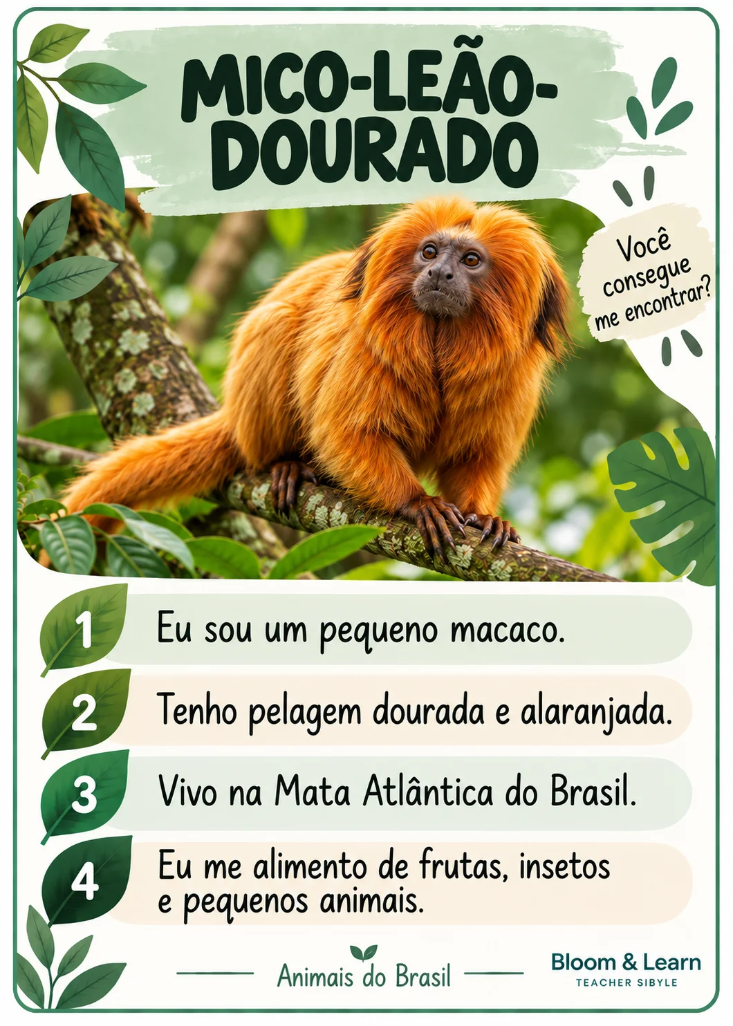 LINCE ANIMAIS BRASILEIROS - DETETIVES DA NATUREZA — amostra 2: 🔎 UM JOGO, DUAS MANEIRAS DE BRINCAR! LINCE ANIMAIS BRASILEIROS - DETETIVES DA NATUREZA — amostra 2: 🔎 UM JOGO, DUAS MANEIRAS DE BRINCAR!