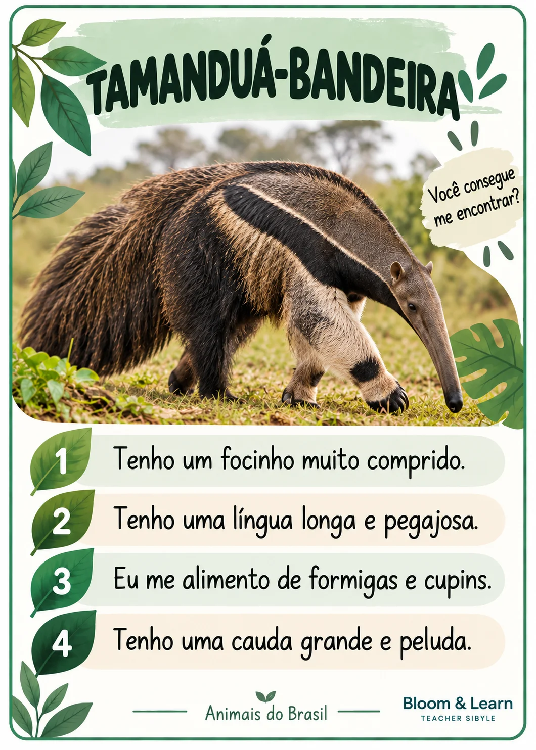 LINCE ANIMAIS BRASILEIROS - DETETIVES DA NATUREZA — amostra 4: 2. OUÇA AS PISTAS E DESCUBRA! LINCE ANIMAIS BRASILEIROS - DETETIVES DA NATUREZA — amostra 4: 2. OUÇA AS PISTAS E DESCUBRA!