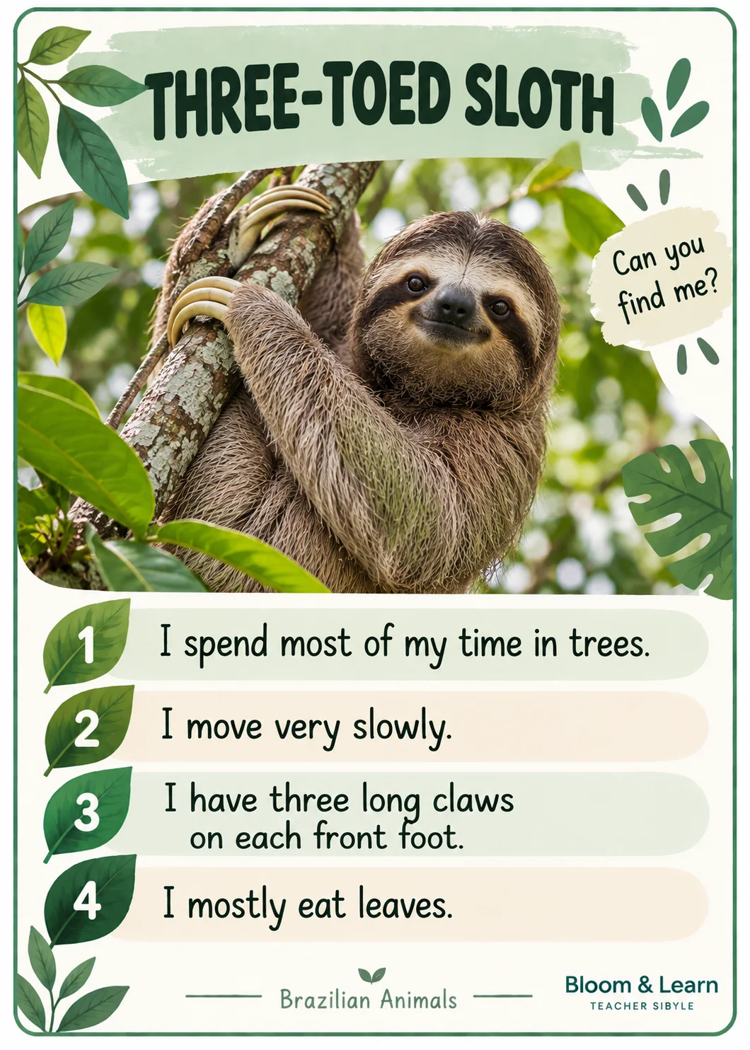Lince Animais Brasileiros em Inglês - Jogo 20 Animais Cards com Pistas — amostra 4: 2. Escute as pistas e descubra!