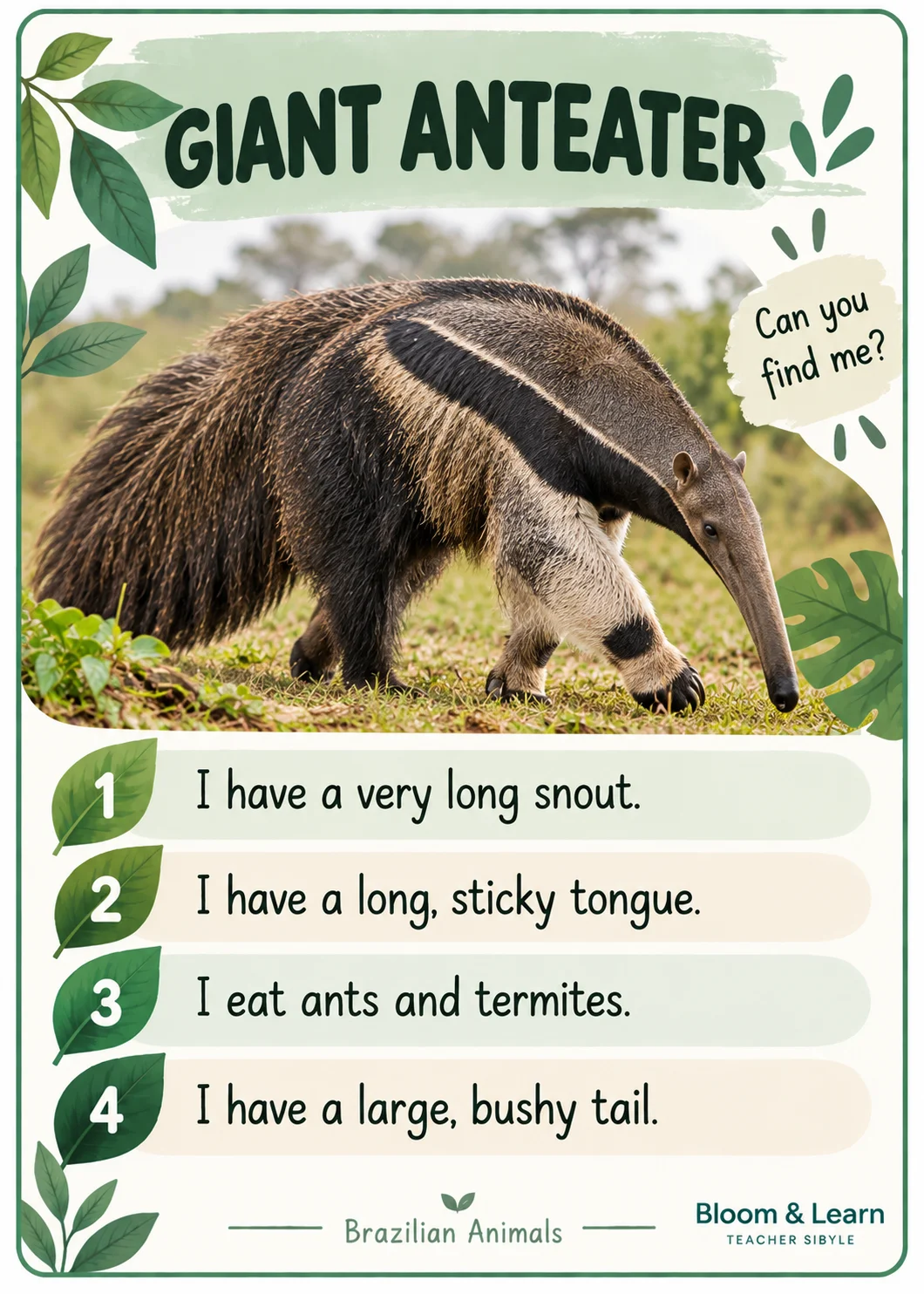 Lince Animais Brasileiros em Inglês - Jogo 20 Animais Cards com Pistas — amostra 5: 🌿 O que torna este material especial?