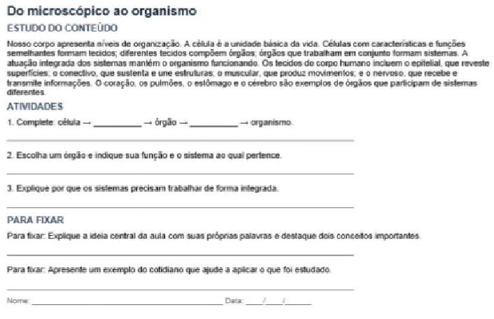Livro Adaptado 7º Ano: Ciências, Inglês e Projeto de Vida — Atividades para Fundamental II (6º–9º): Livro didático adaptado…