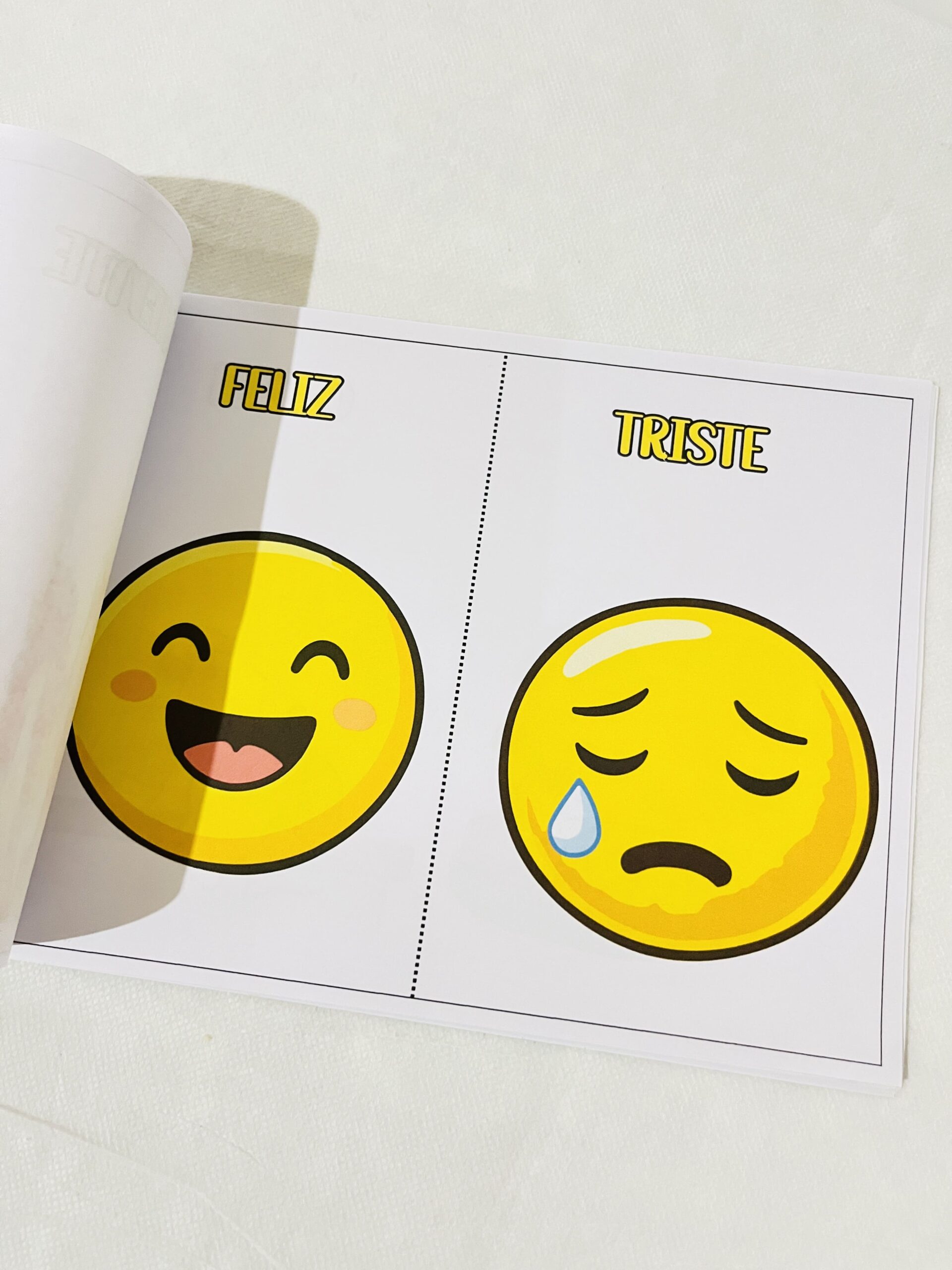 Livro dos conceitos alfabetização | Educação Infantil — amostra 1: O que vem no material Livro dos conceitos alfabetização | Educação Infantil — amostra 1: O que vem no material