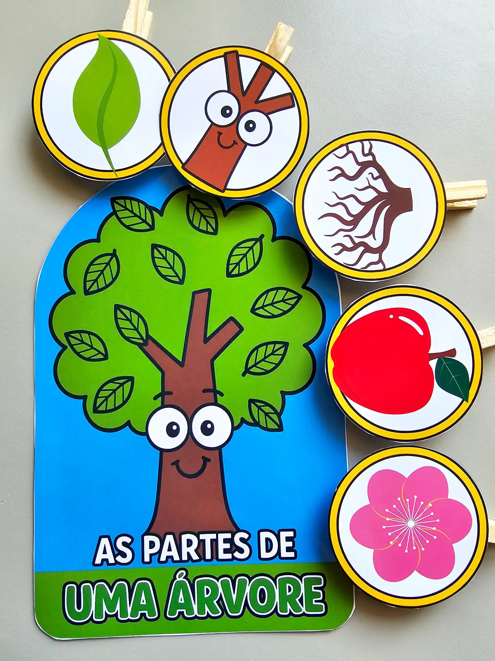 Luva Pedagógica: As Partes de uma Árvore — Ciências para Educação Infantil: Ensine Ciências e Botânica de forma visual,…