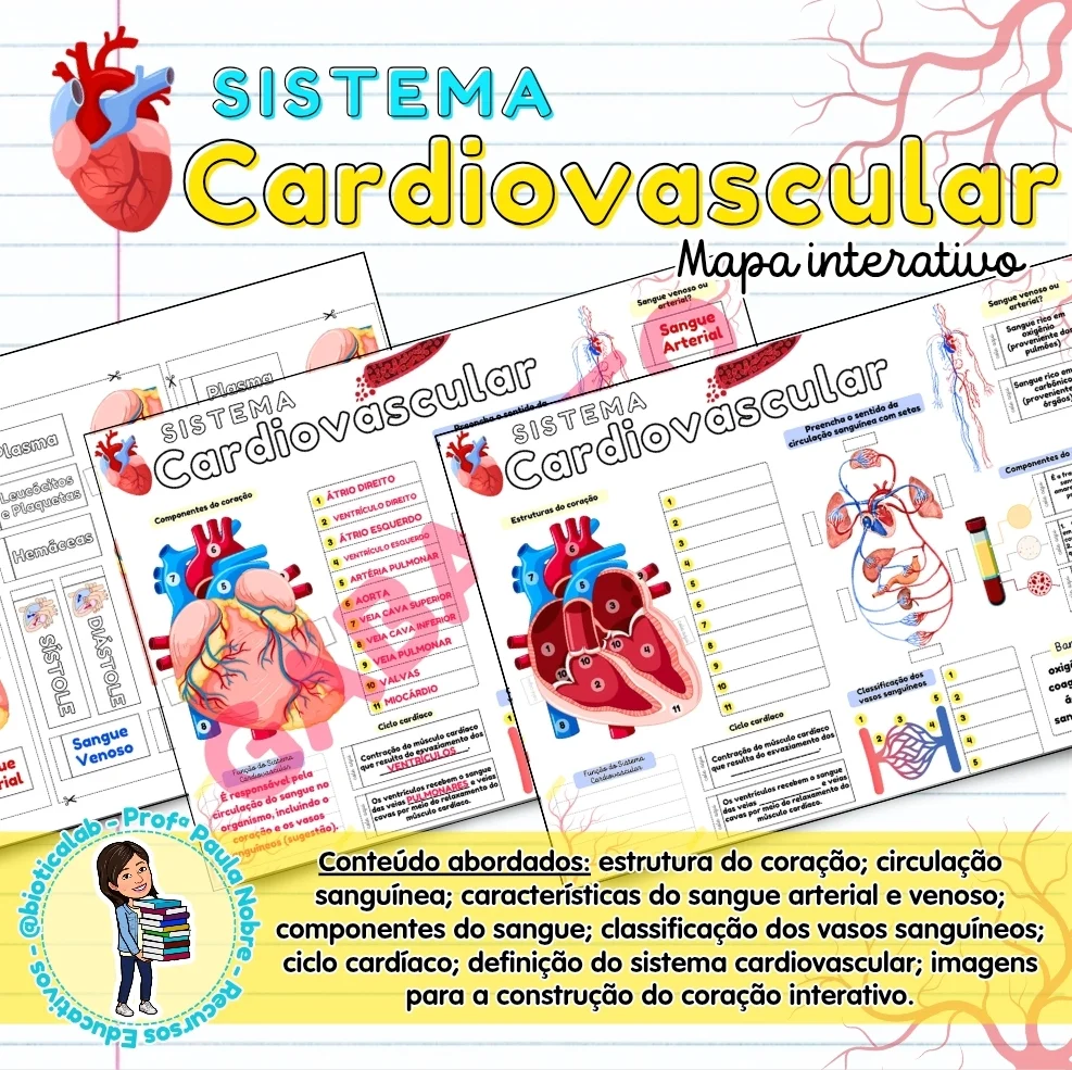 Mapa Interativo - Sistema Cardiovascular - 6º ano — capa do material