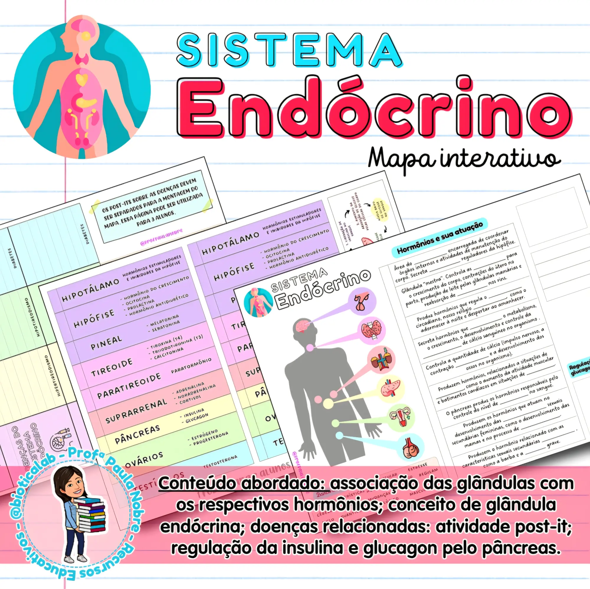 Mapa interativo - Sistema Endócrino - 8º ano — capa do material