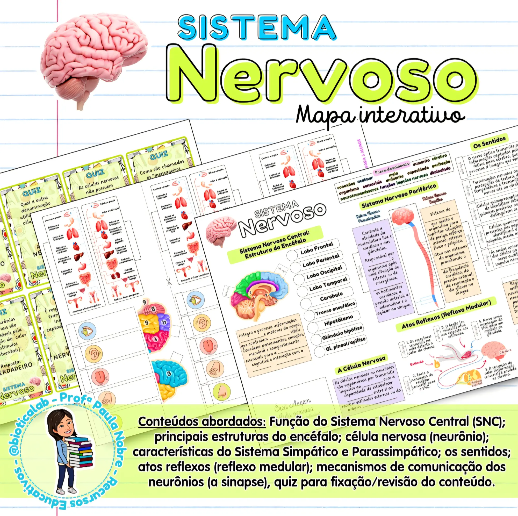 Mapa interativo - Sistema Nervoso - 6º ano — capa do material