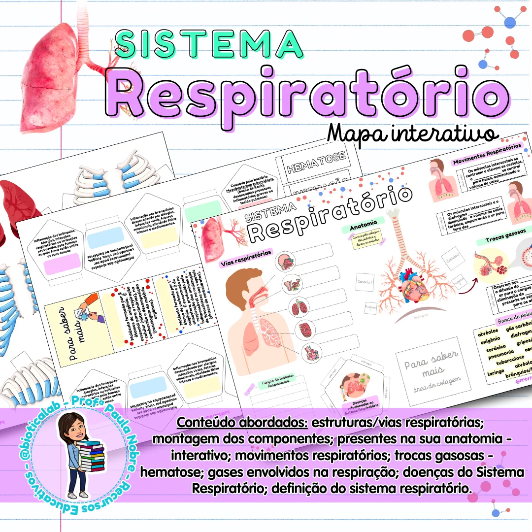 Mapa interativo - Sistema Respiratório - 6º ano — Ciências para Fundamental II (6º–9º): 🌬️Esse material apresenta…