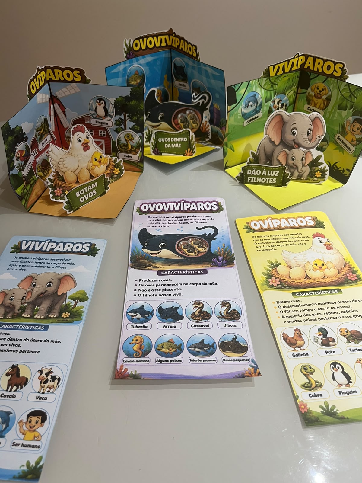 Maquetes interativas — tipos de reprodução dos animais – PDF para Imprimir — amostra 1: Sobre o MAQUETES INTERATIVAS —… Maquetes interativas — tipos de reprodução dos animais – PDF para Imprimir — amostra 1: Sobre o MAQUETES INTERATIVAS —…