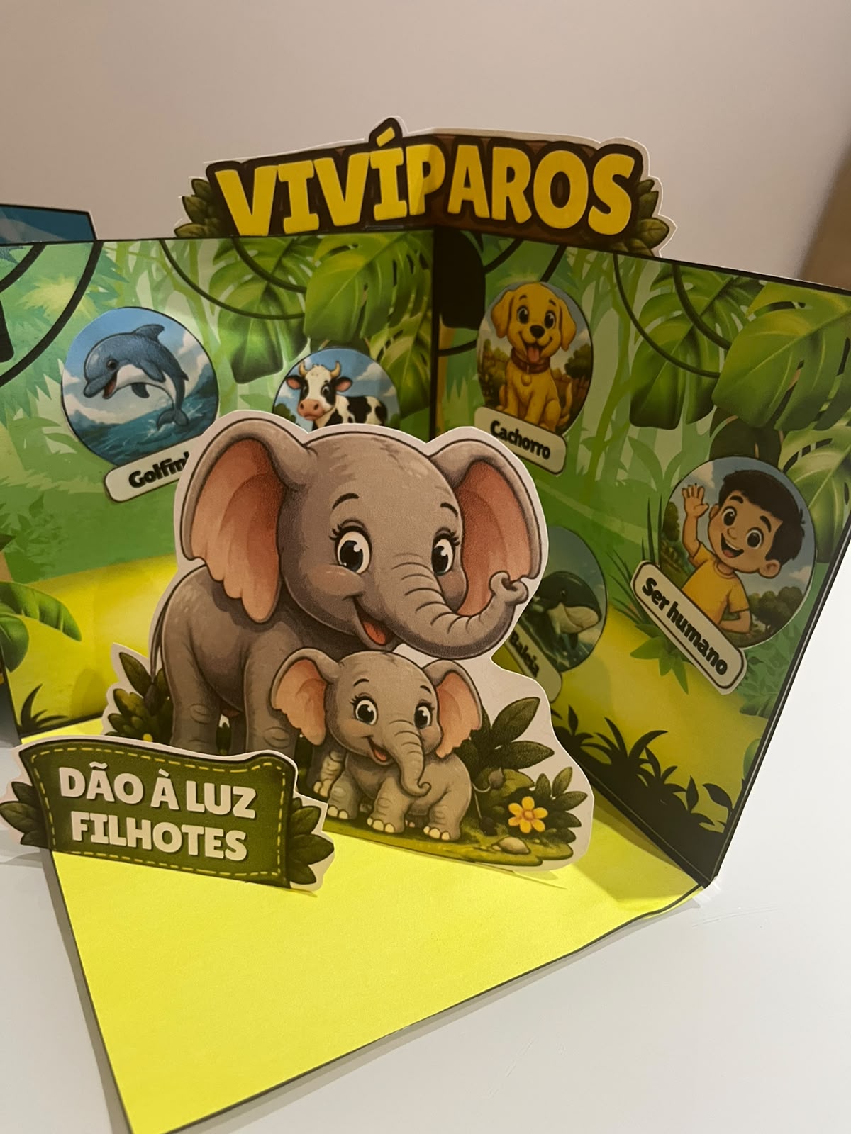 Maquetes interativas — tipos de reprodução dos animais – PDF para Imprimir — amostra 2: Formato e entrega Maquetes interativas — tipos de reprodução dos animais – PDF para Imprimir — amostra 2: Formato e entrega