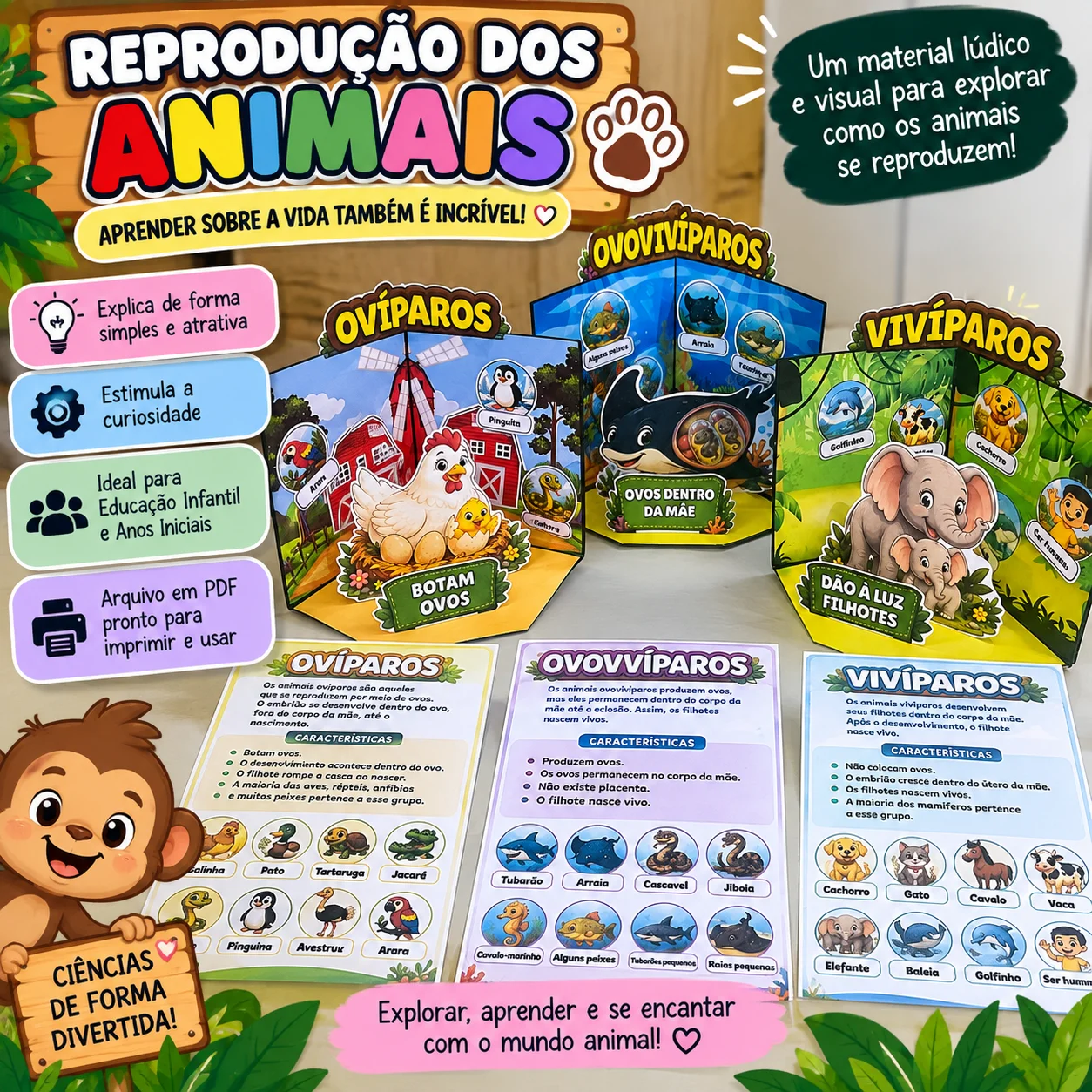 MAQUETES INTERATIVAS — TIPOS DE REPRODUÇÃO DOS ANIMAIS — capa do material
