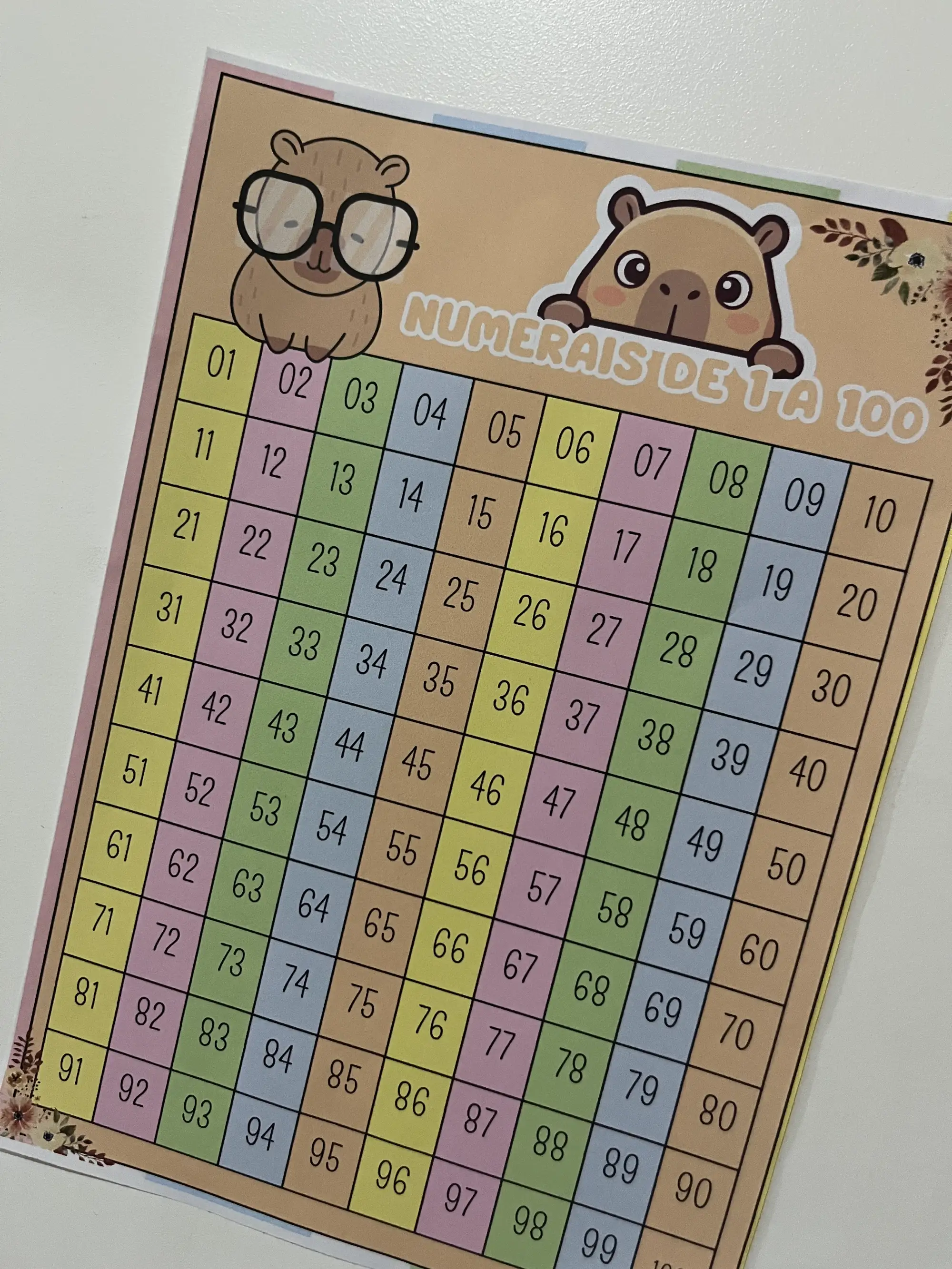 🦫 Numerais de 1 a 100 com Capivara: Atividades Lúdicas de Matemática — amostra 2: Importância para o Estudante