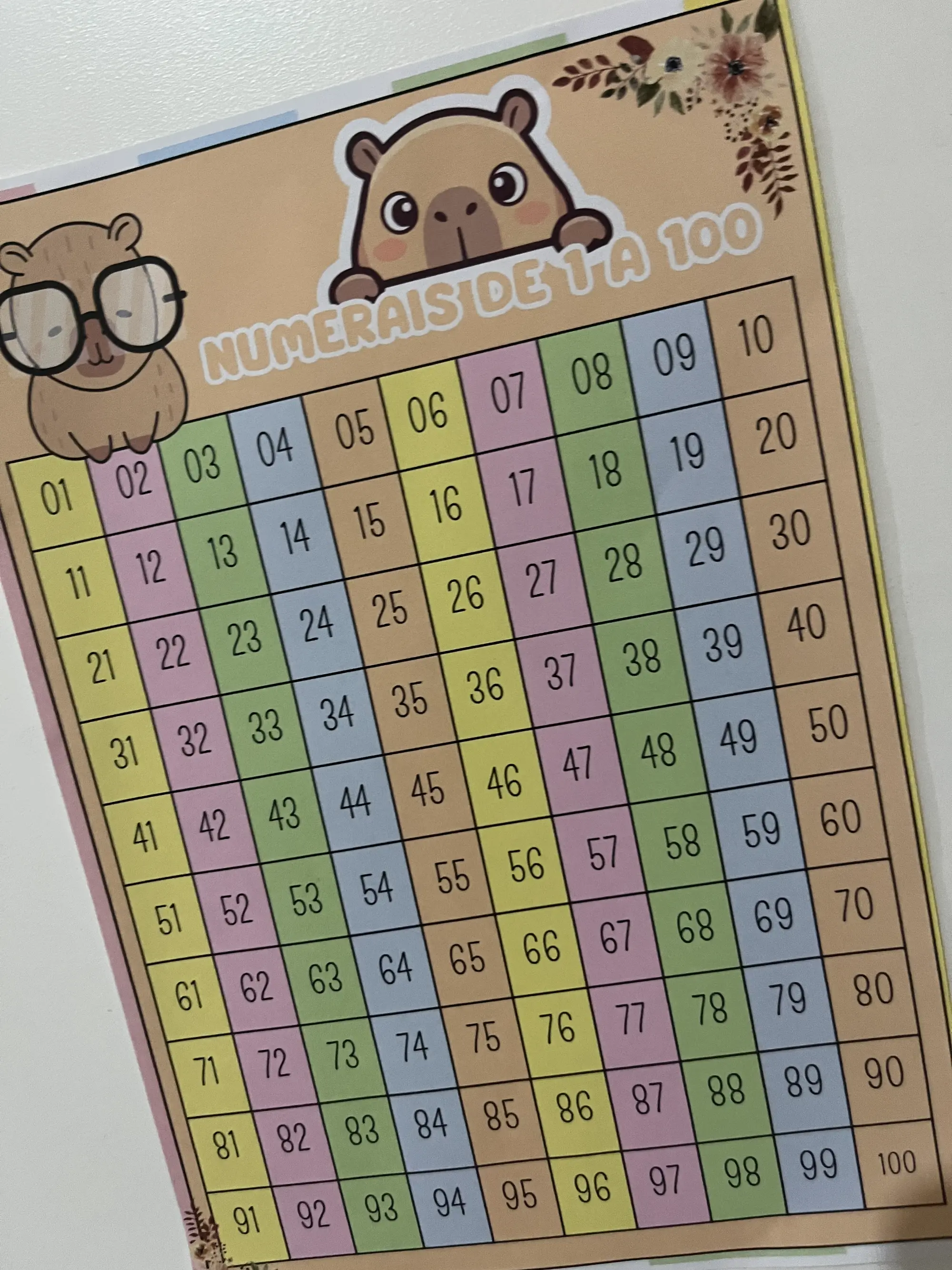 🦫 Numerais de 1 a 100 com Capivara: Atividades Lúdicas de Matemática — amostra 4: Tabela numérica completa de 1 a 100…