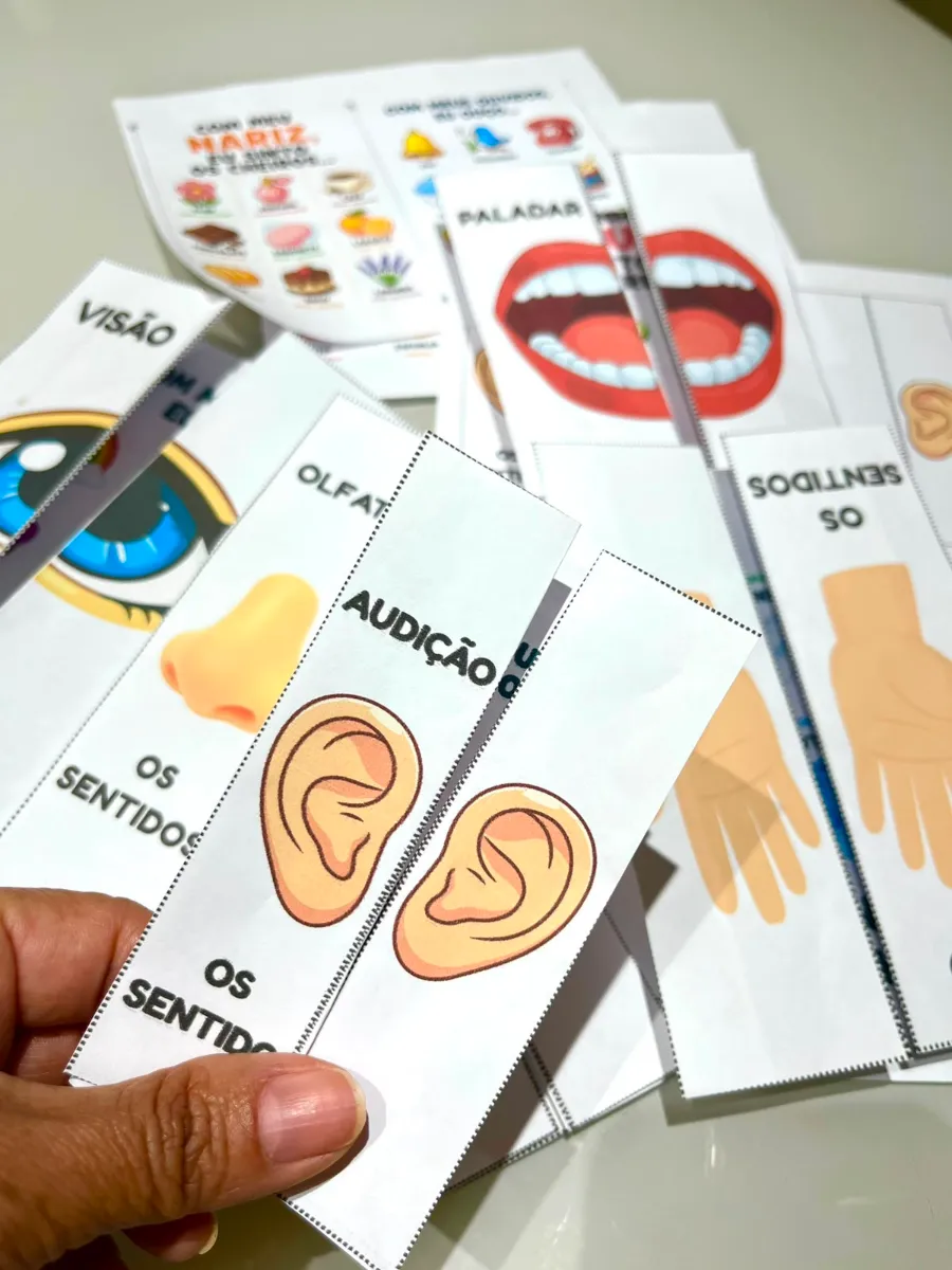 Os Cinco Sentidos - Flipbook - Ciências Educação Infantil — amostra 4: Ensinar os cinco sentidos pode ser muito mais…