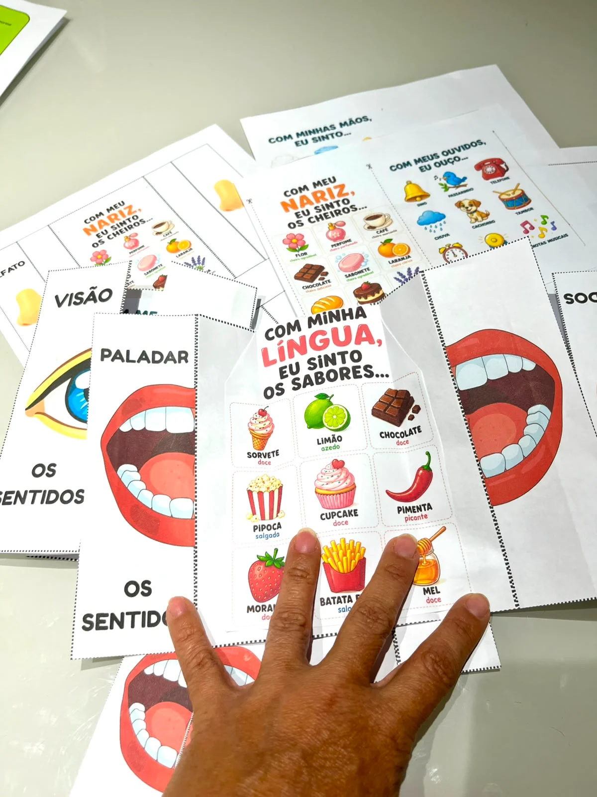 🧠✨ OS CINCO SENTIDOS GANHAM VIDA NA SUA SALA DE AULA! 👁️👂👃👅✋ — amostra 3: Seus alunos vão aprender os cinco sentidos…