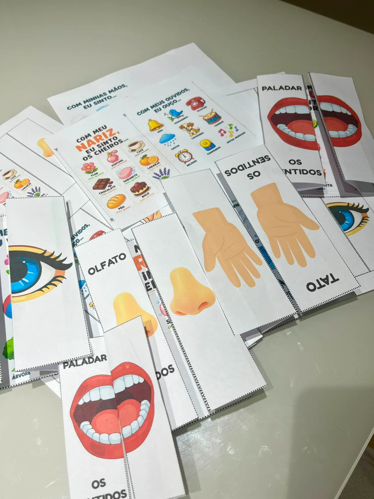 Os Cinco Sentidos – Olfato, Audição, Visão, Paladar e Tato — Alfabetização para Educação Infantil: Ensinar os cinco…