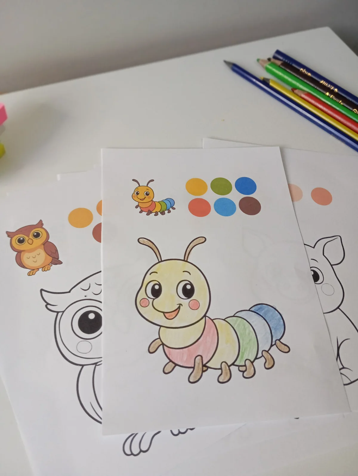Painel Dia da Árvore – Material Pedagógico — amostra 5: Transforme sua sala de aula em um espaço cheio de vida, cores e…