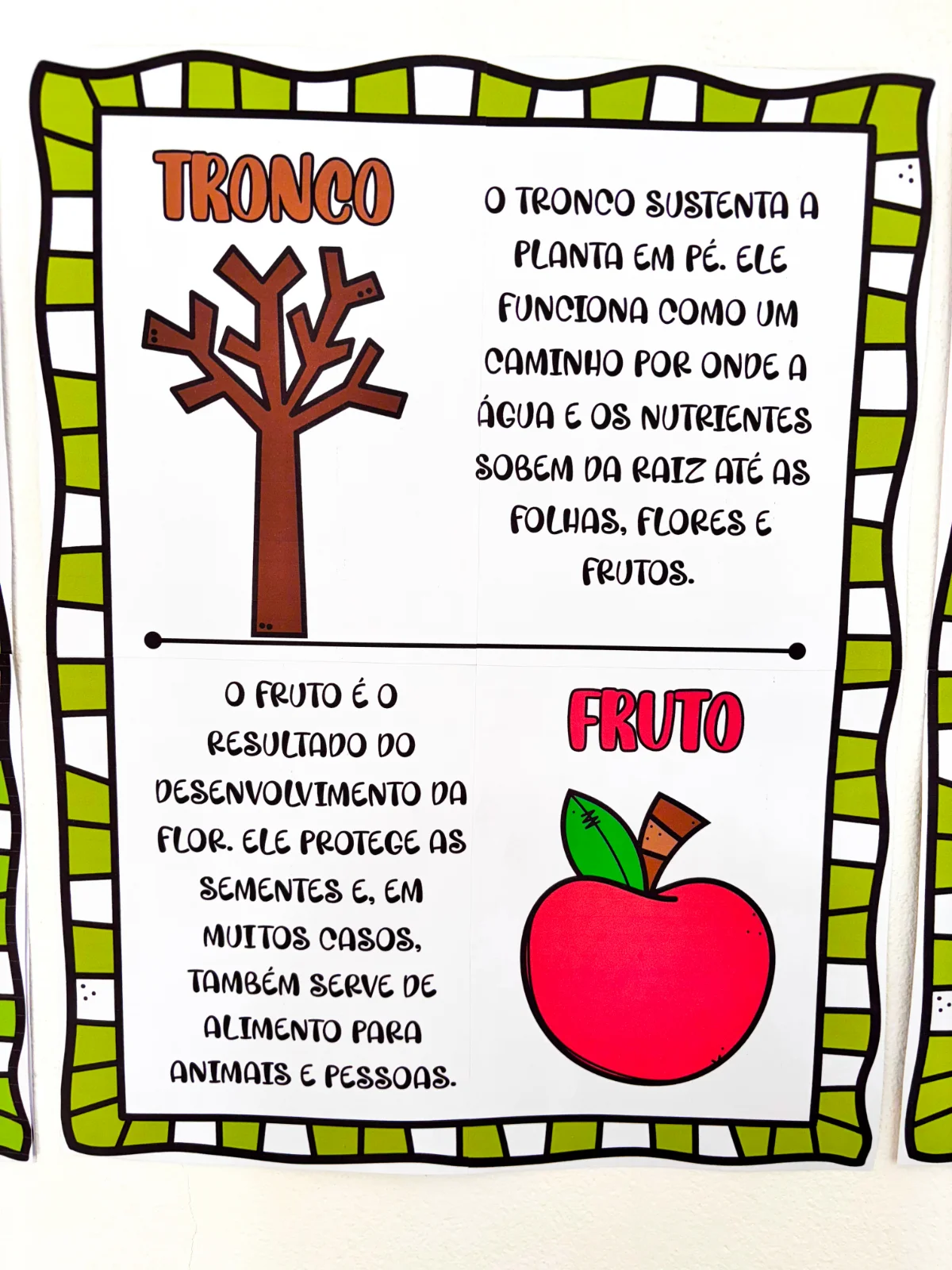Painel Partes da Árvore – PDF para Imprimir — amostra 2: Formato e entrega