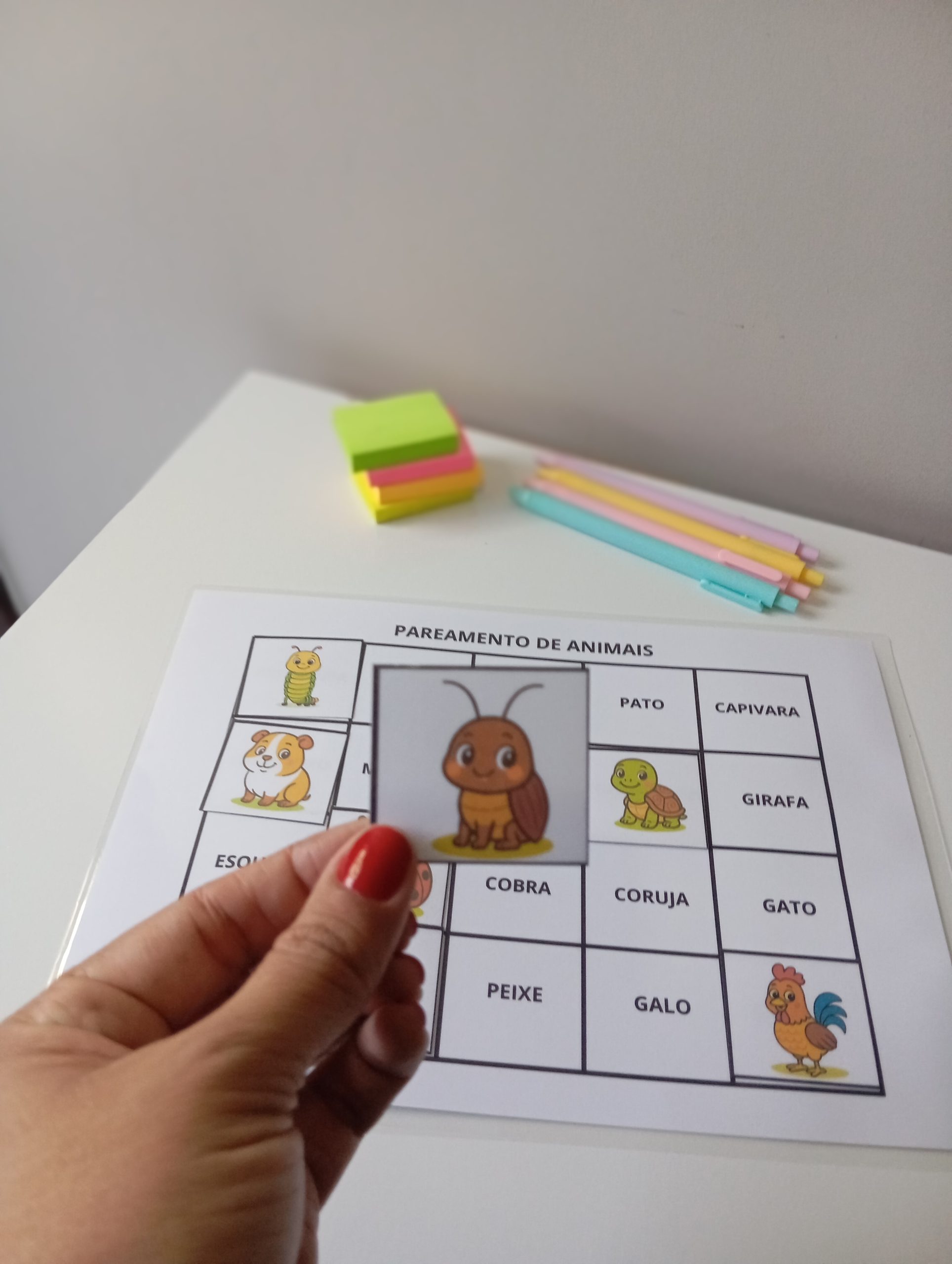 Pareamento De Animais – Educação infantil – PDF para Imprimir — capa do material