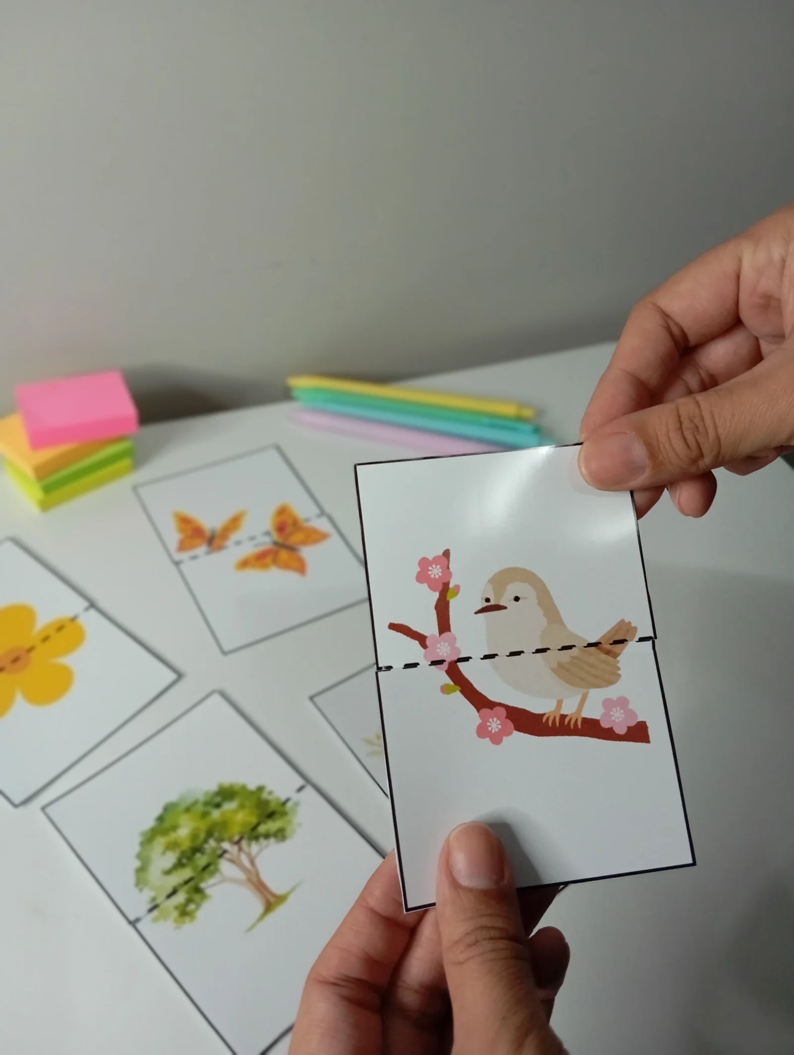 Pareamento Primavera – Atividade para Imprimir — amostra 6: Atividade de pareamento da Primavera para estimular atenção,…