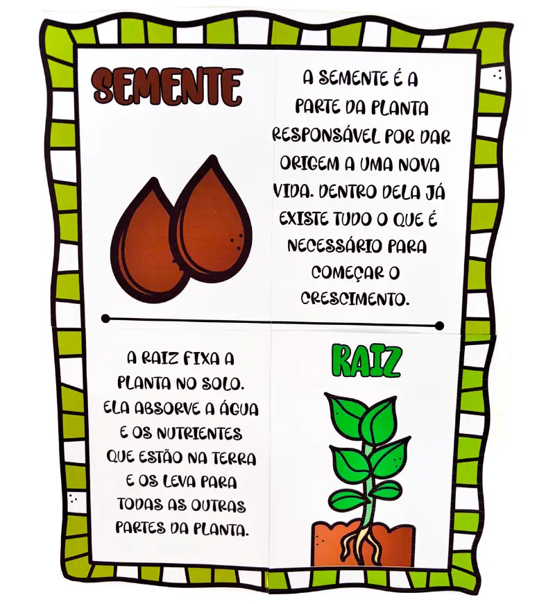 Partes da Árvore: Painel em PDF para Imprimir — amostra 4: Para quem é indicado