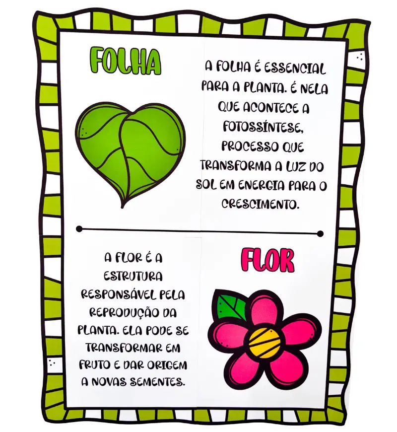 Partes da Árvore: Painel em PDF para Imprimir — amostra 5: Apresente raiz, tronco, folhas, flores, frutos e sementes com um…