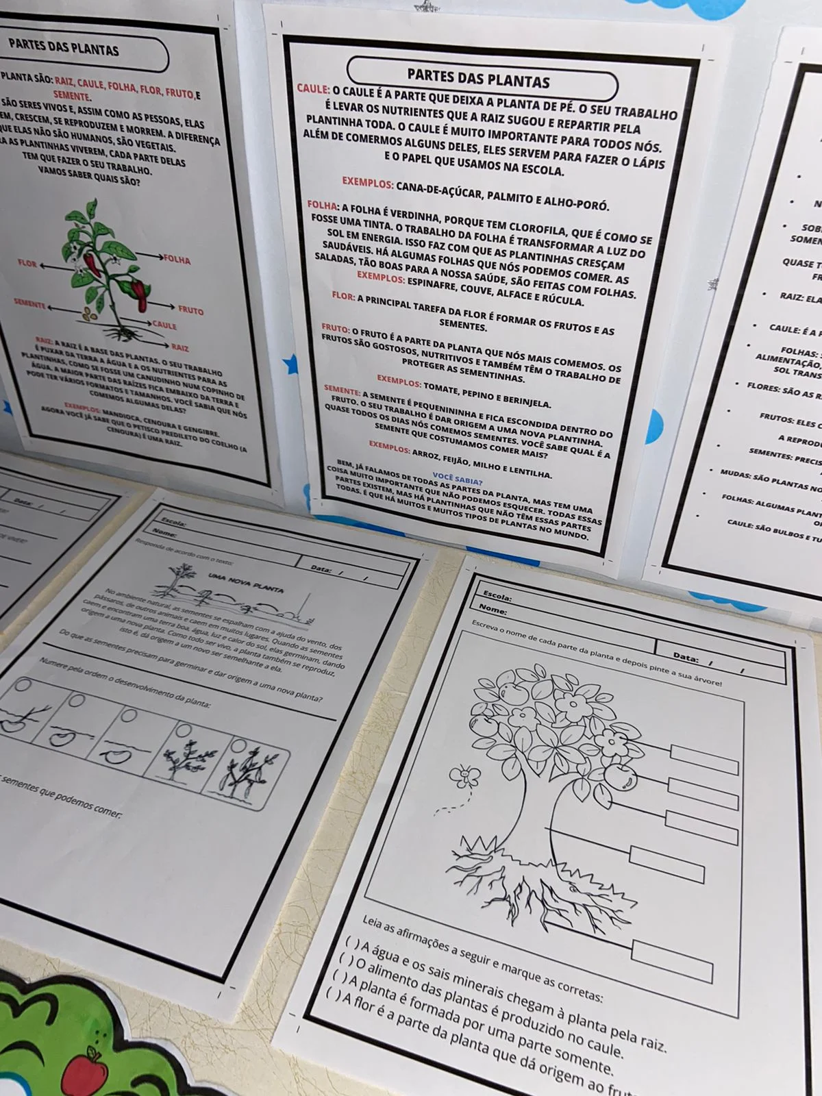 Partes de uma Planta – Recurso Pedagógico Interativo | 2º, 3º e 4º Ano — amostra 2: Material pedagógico interativo para…
