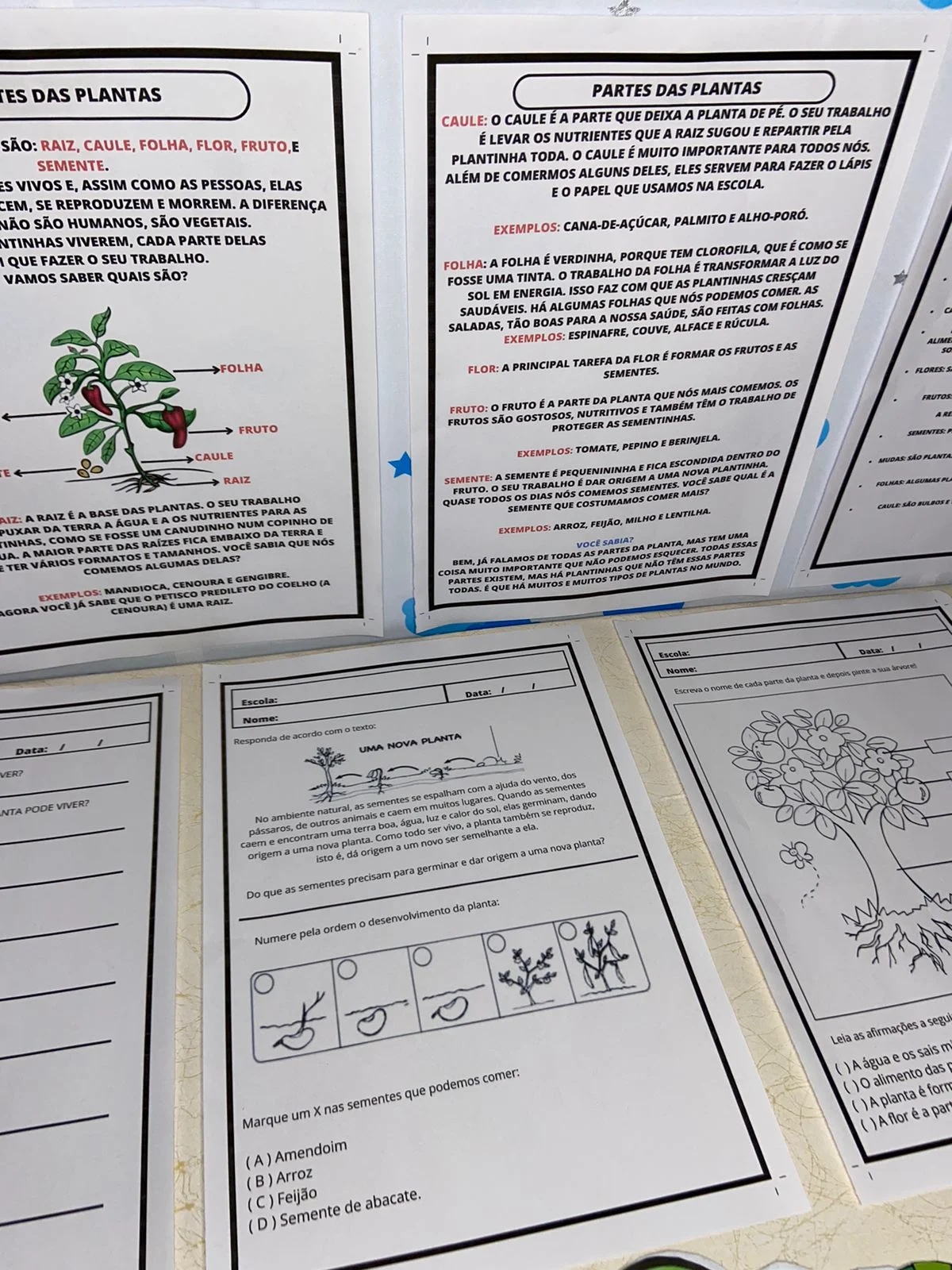 Partes de uma Planta – Recurso Pedagógico Interativo | 2º, 3º e 4º Ano — amostra 3: Material pedagógico interativo para…