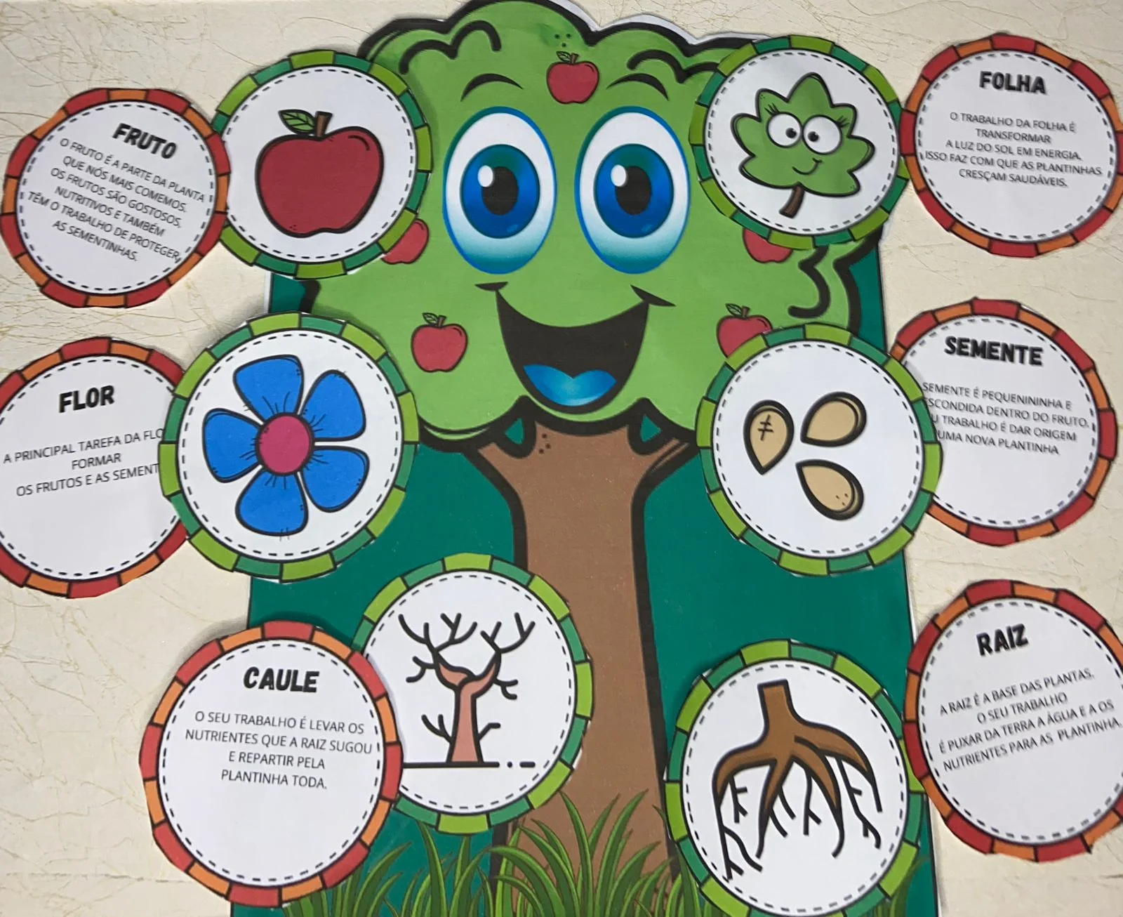 Partes de uma Planta – Recurso Pedagógico Interativo | 2º, 3º e 4º Ano — amostra 5: Material pedagógico interativo para…