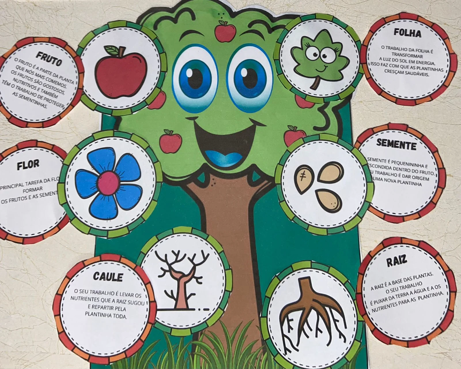 Partes de uma Planta – Recurso Pedagógico Interativo | 2º, 3º e 4º Ano — Ciências para Educação Infantil: Material…
