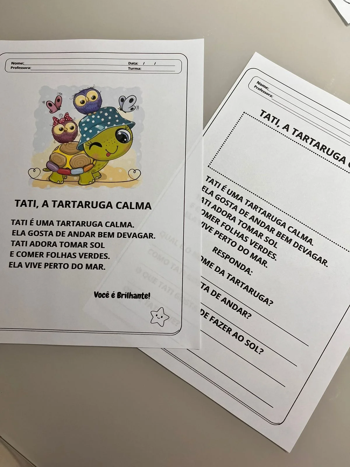 PEQUENOS TEXTOS, GRANDES LEITORES Textos curtos para alfabetização — amostra 4: Pequenos textos que constroem grandes…