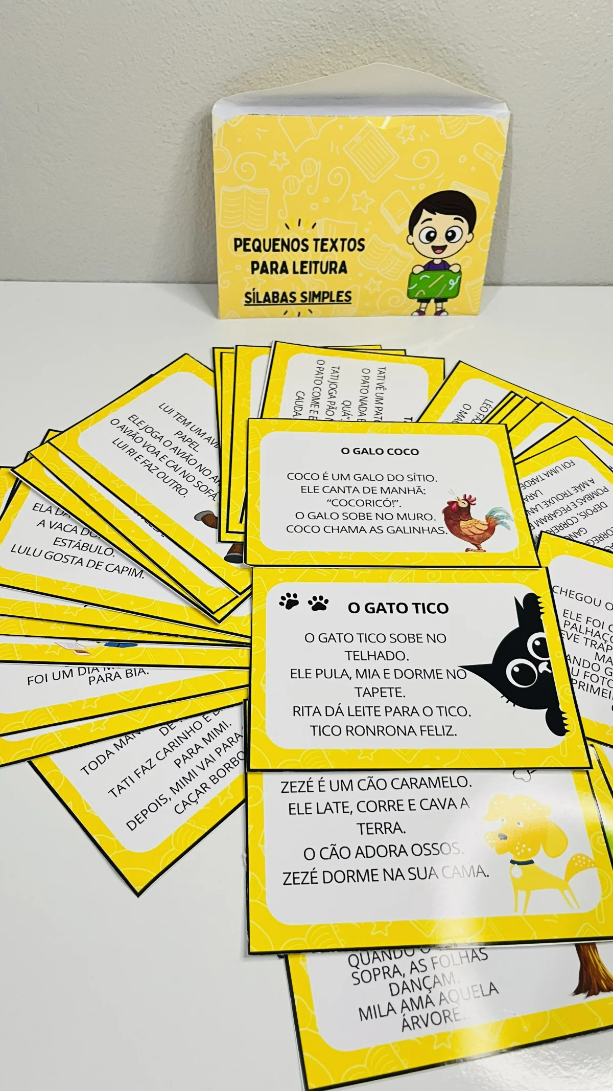 Pequenos textos para leitura – PDF para Imprimir | Alfabetização — amostra 2: Para quem é indicado