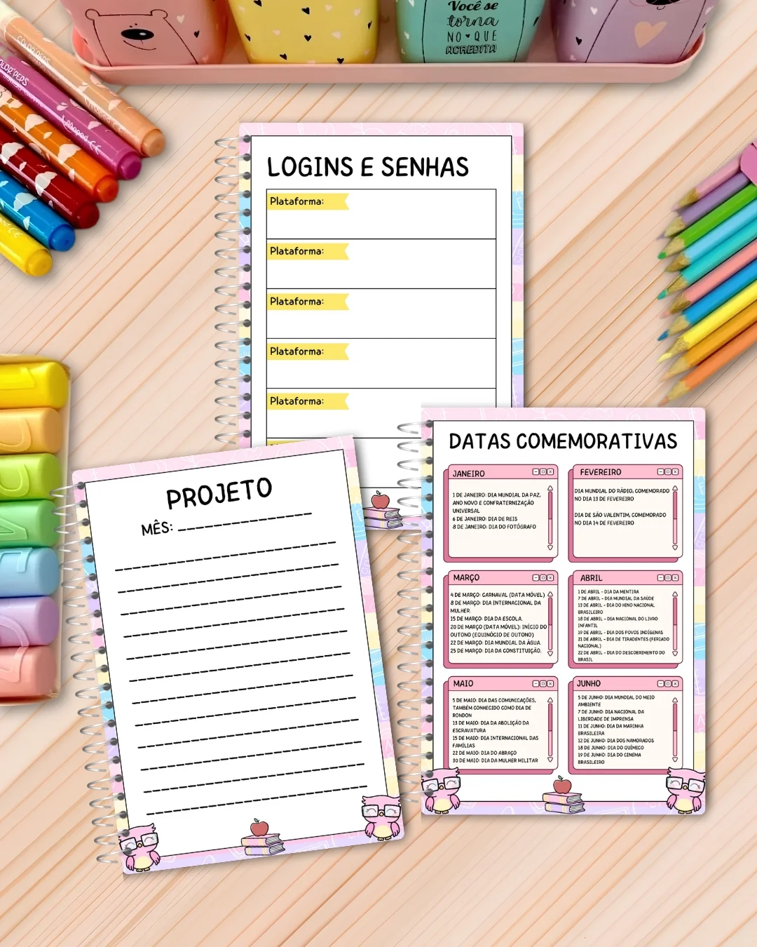 PLANNER DA COORDENADORA 2027 – ORGANIZE SEU ANO LETIVO — amostra 2: Tenha mais praticidade e organização na sua rotina… PLANNER DA COORDENADORA 2027 – ORGANIZE SEU ANO LETIVO — amostra 2: Tenha mais praticidade e organização na sua rotina…