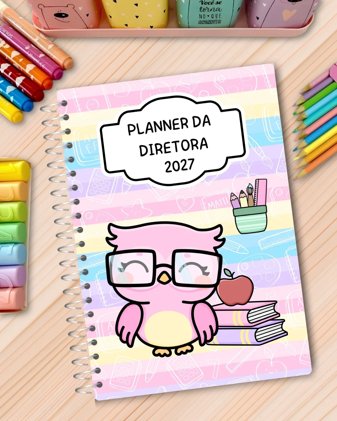 PLANNER DA DIRETORA 2027 – ORGANIZAÇÃO COMPLETA — Alfabetização para Todas as séries: Organize sua rotina escolar com muito…