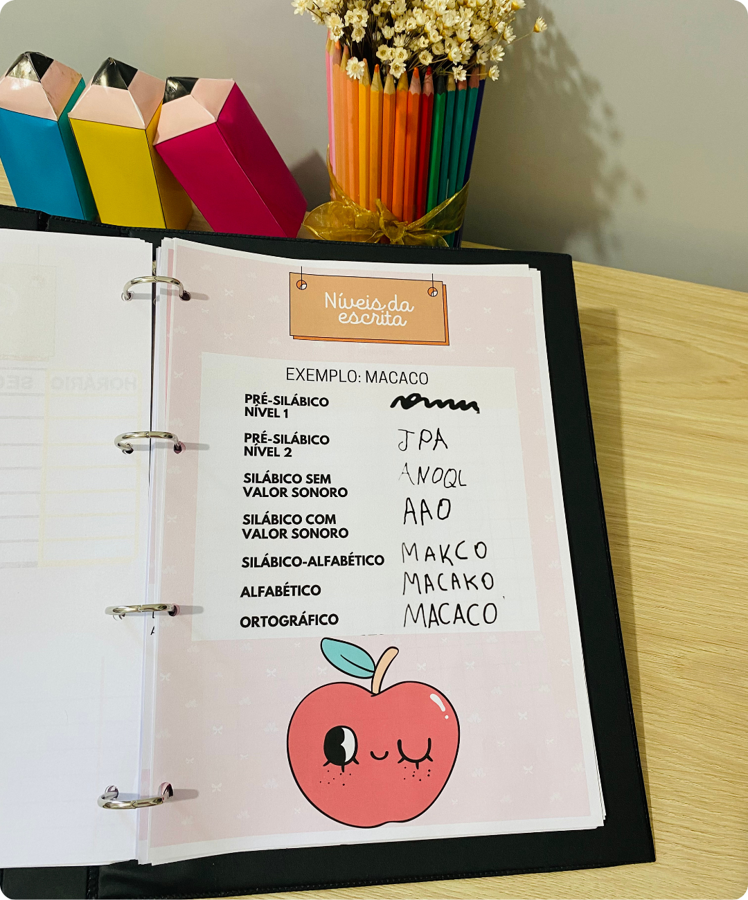 Planner de coruja para imprimir – 2025 — amostra 2: Como colocar o planner em uso na escola