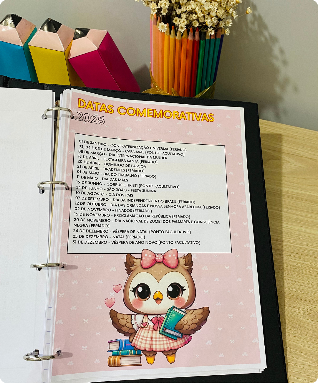 Planner de coruja para imprimir – 2025 — amostra 4: Para quem é indicado